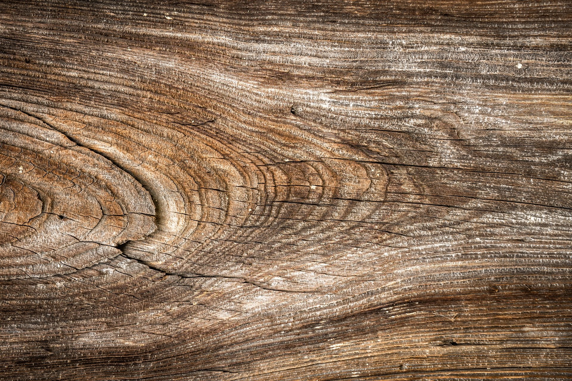 Wood Texture Background